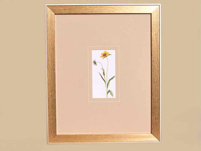 'Pretty Florals I' Framed Print 2/3