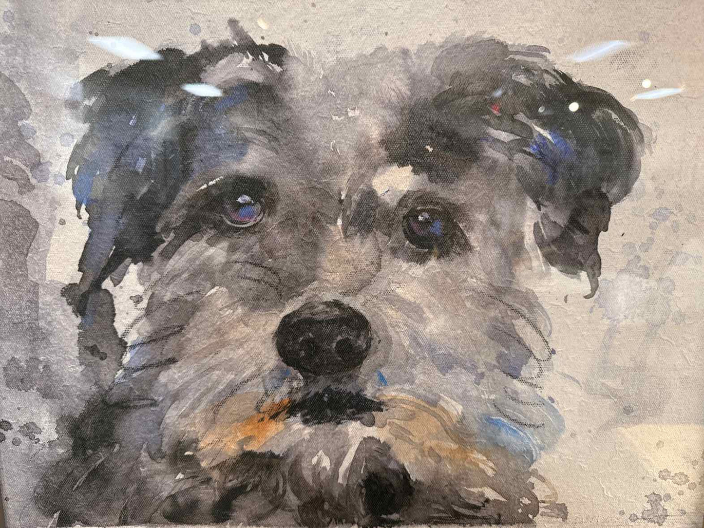 'Dog Days D' Framed Wall Decor