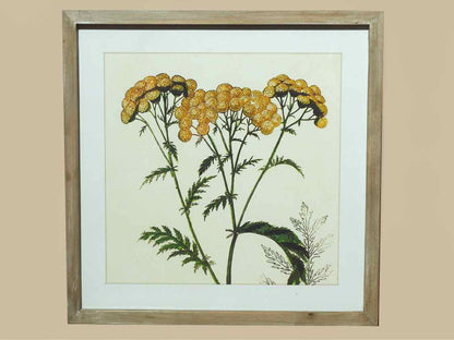 White Washed Framed Flower Print Under Glass