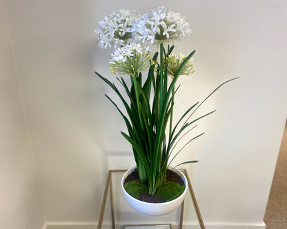 'Purity' Agapanthus Centerpiece