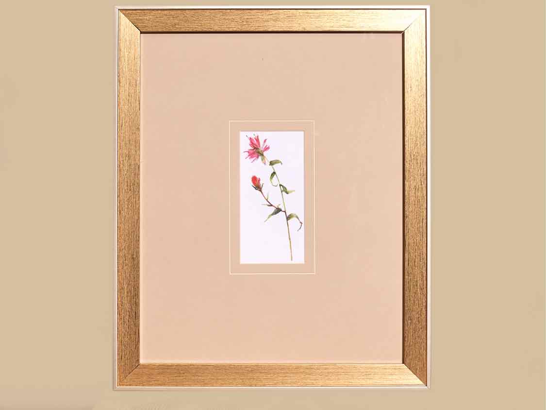 'Pretty Florals I' Framed Print 1/3