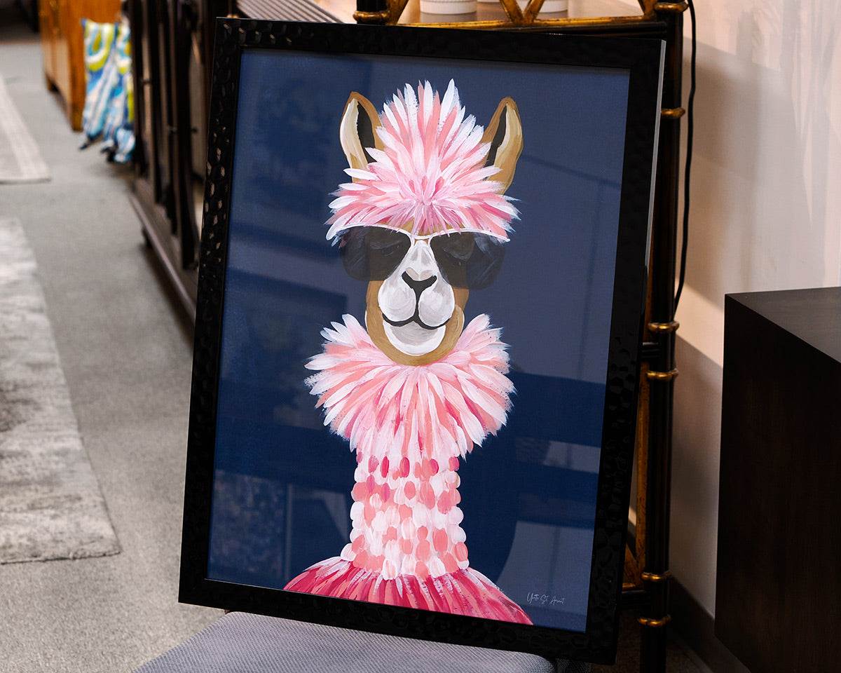 Miami Alpaca 1/2