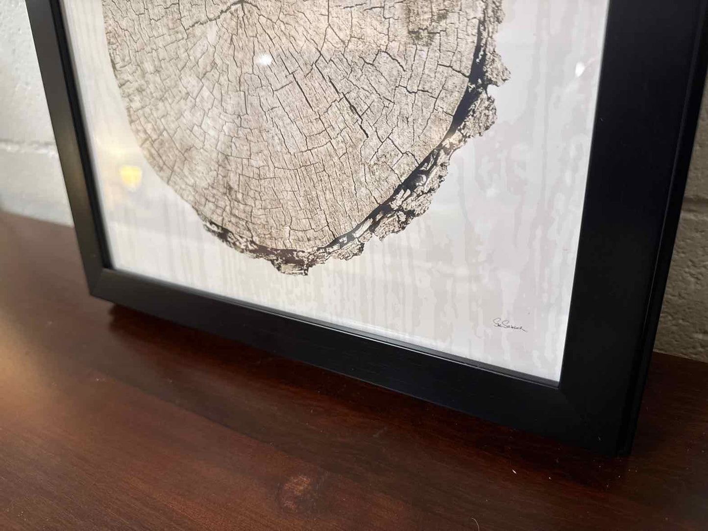 "Woodland Years II"