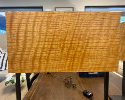 Pair Holly Hunt Red Oak Shade Contemporary Table Lamps