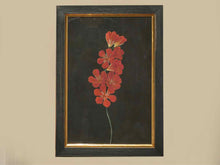 Framed Giclee 'Grapefruit Paloma Pistachio'