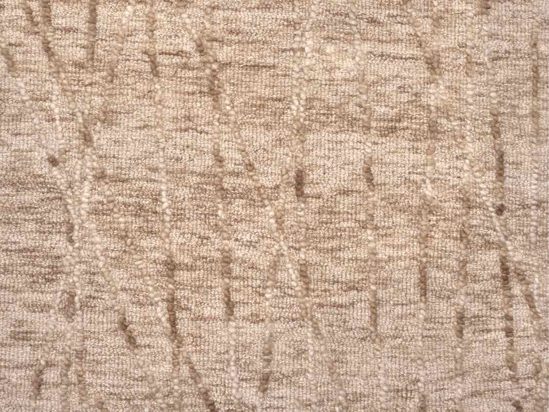 Loloi Area Rug