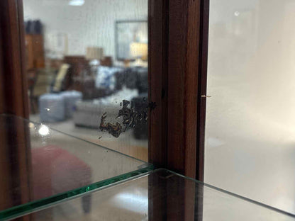 Viennese Mahogany Vitrine