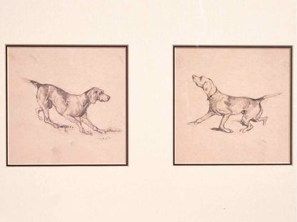 'French Pointer Series' Framed Print
