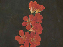 Framed Giclee 'Grapefruit Paloma Pistachio'