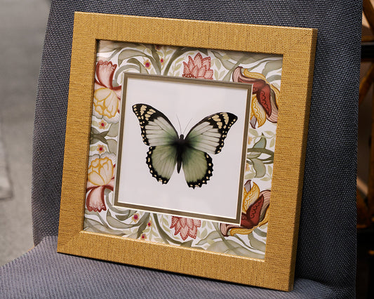 Baroque Butterfly 1/4