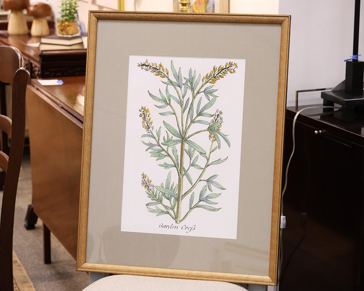 "Botanical Plants IV" Premium Matted Print in Distressed Gold Frame