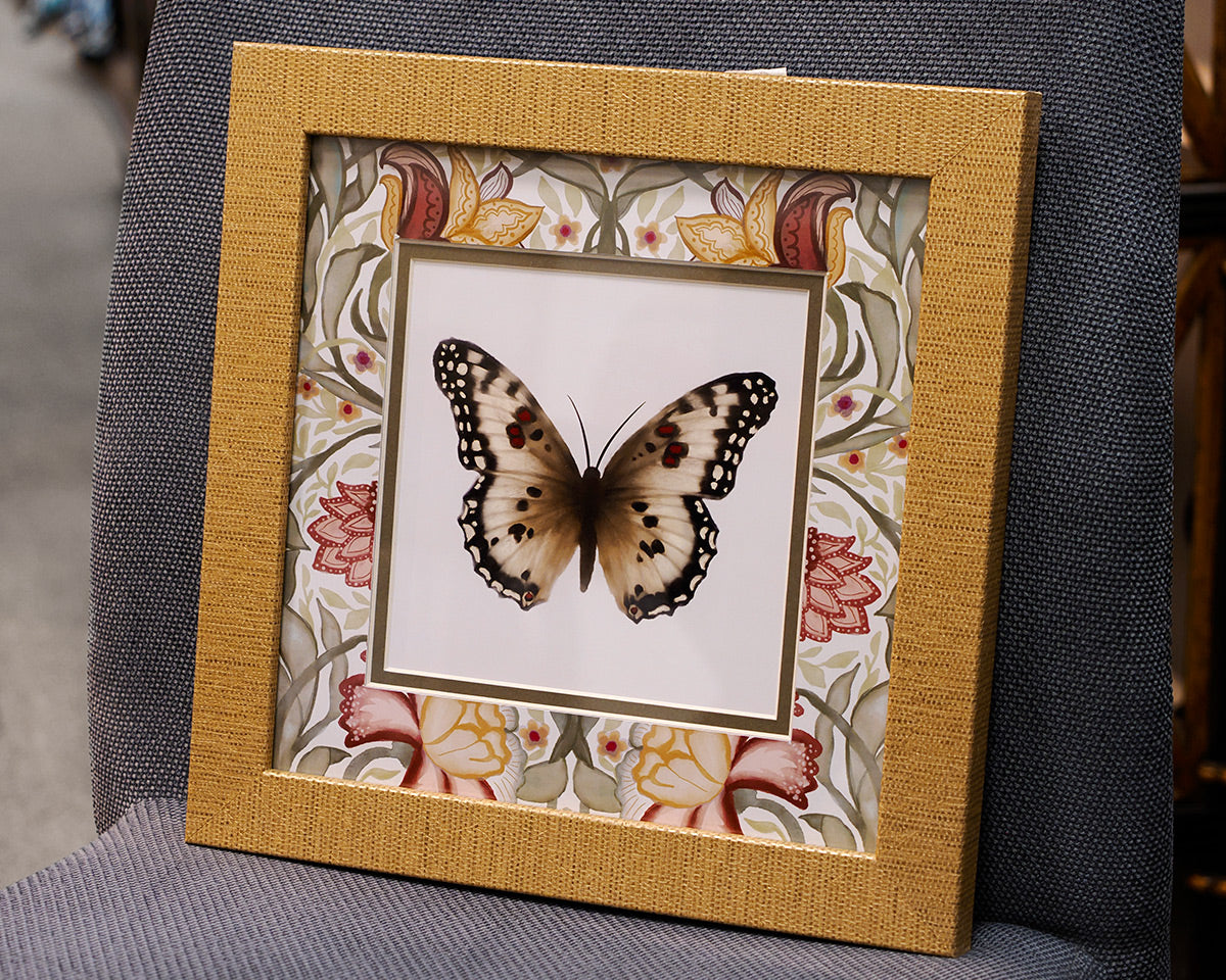 Baroque Butterfly 4/4