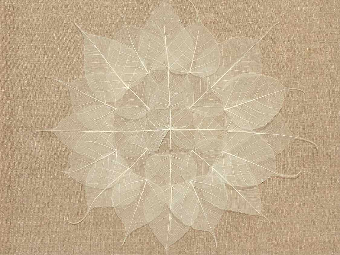 Pressed Leaves Framed Wall Decor