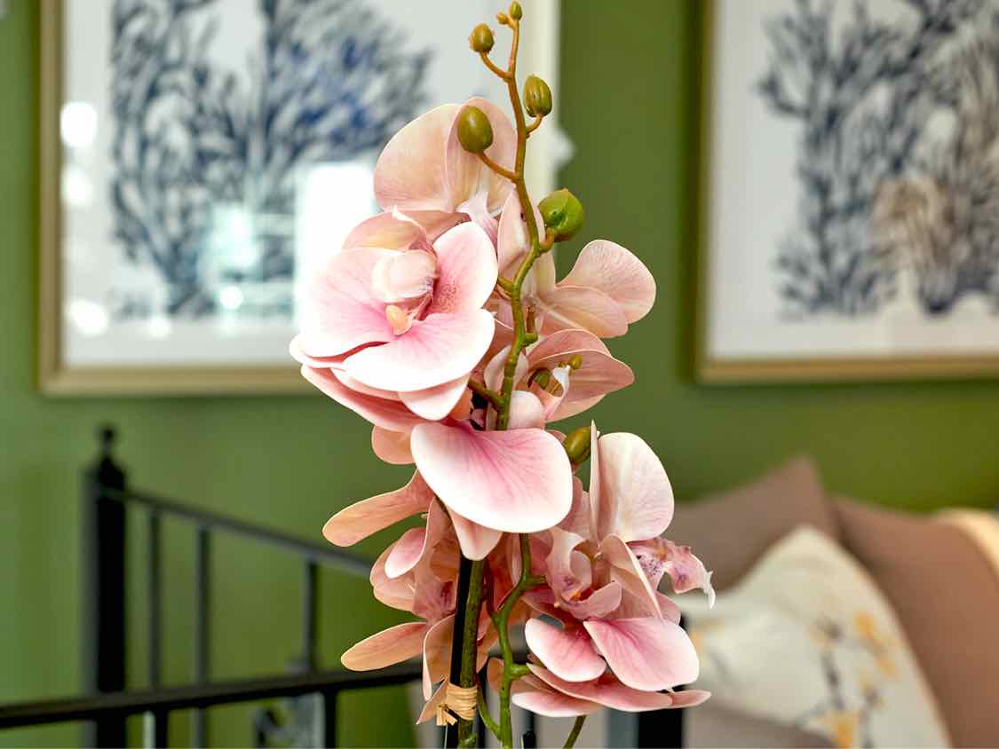 Boca Blush Orchid In Textured Pot Decor