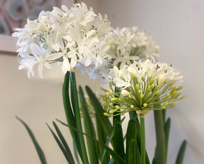 'Purity' Agapanthus Centerpiece