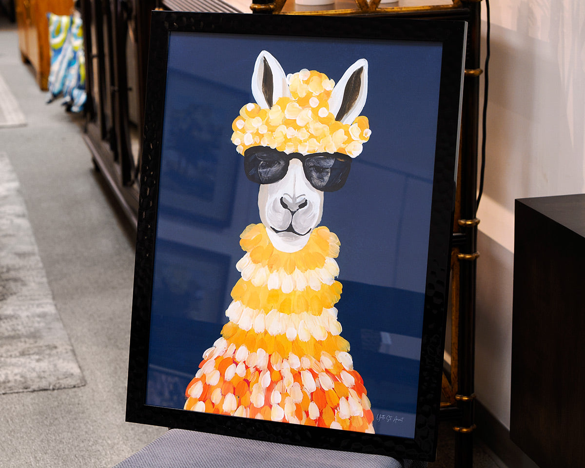Miami Alpaca 2/2