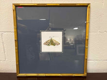 'Pastel Moths I S/3 C' Wall Decor