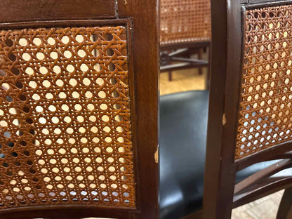 Palacek Set of 6 Dining Chairs