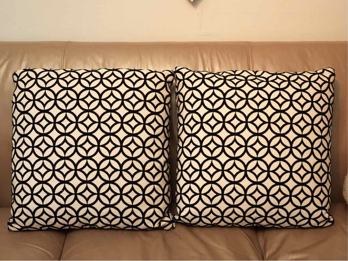 Pair of Black Velvet & White Accent Pillows