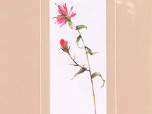 'Pretty Florals I' Framed Print 1/3