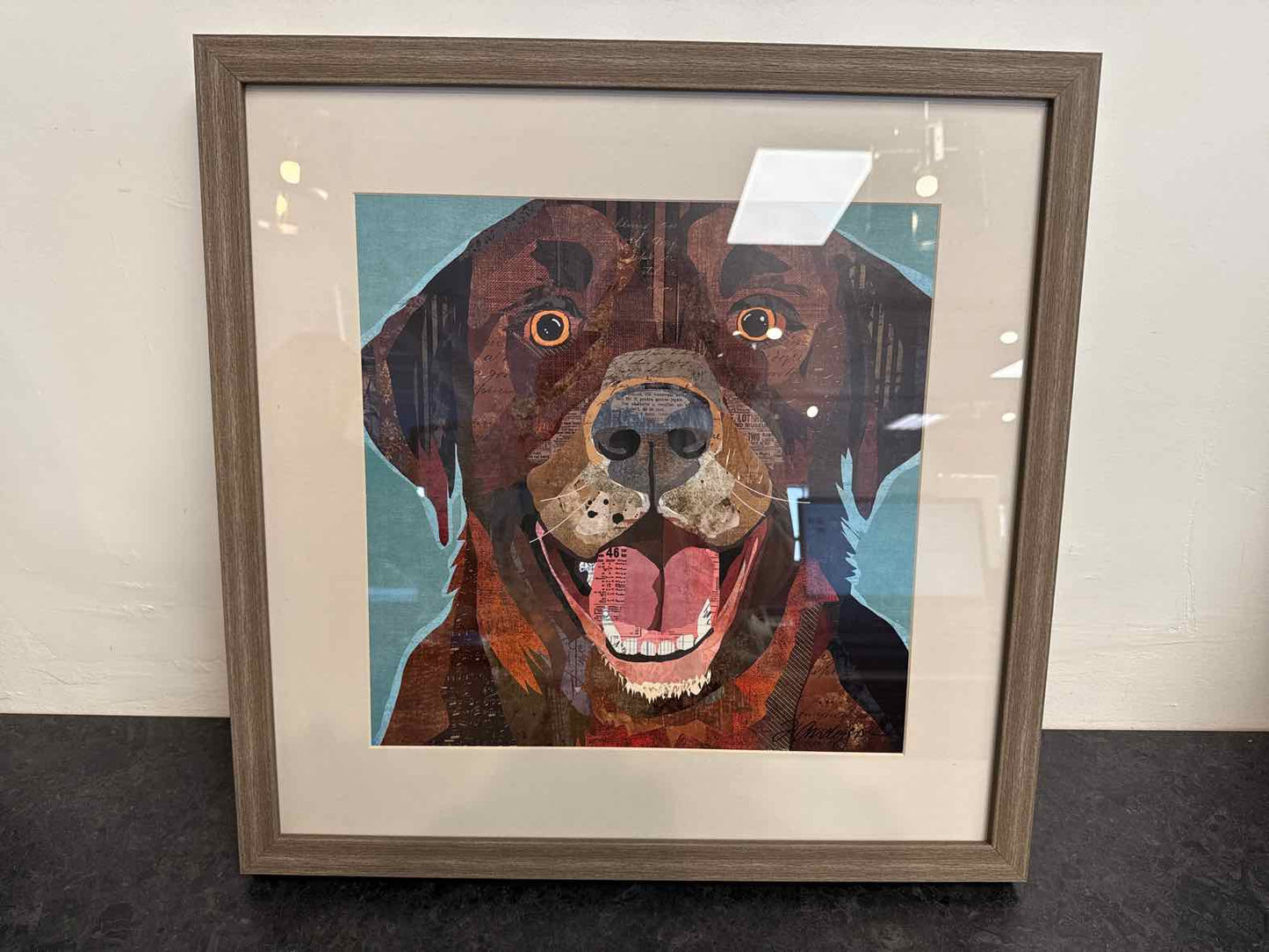 'Dog Collage IV''