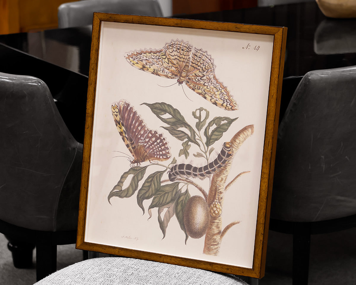 Wall Decor