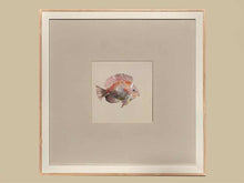 Coastal Medley I