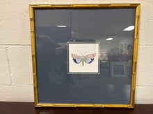'Pastel Moths I S/3 B' Wall Decor