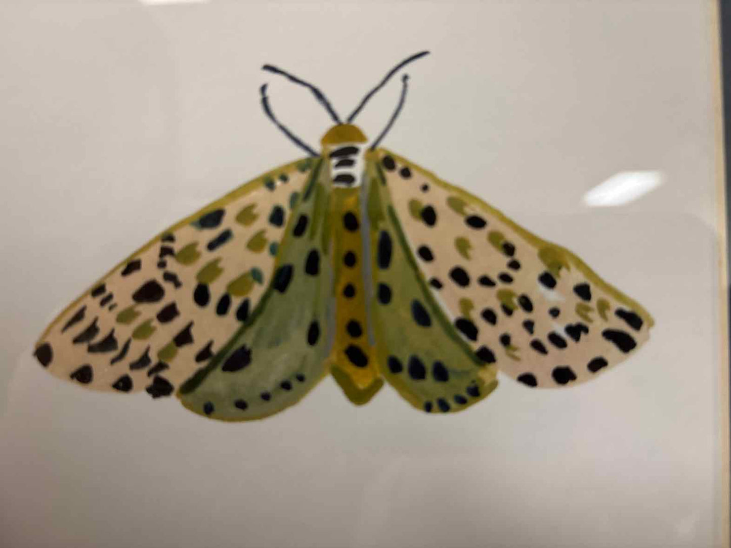 'Pastel Moths I S/3 C' Wall Decor