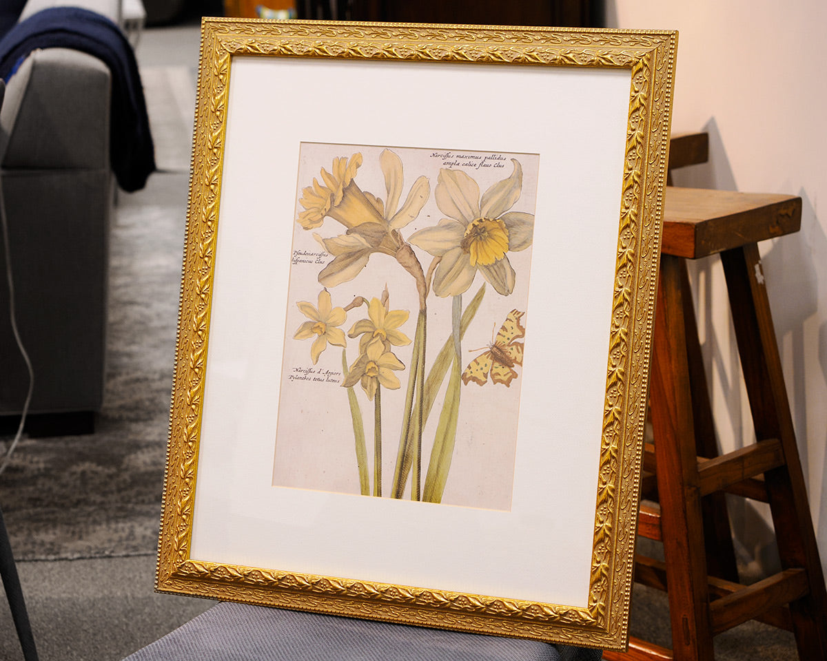 Botanical of Yellow Tulips by Robert
