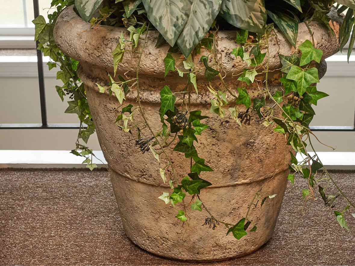 Silk Areca Palm with Aglaonema & Needle Point Ivy