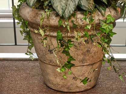 Silk Areca Palm with Aglaonema & Needle Point Ivy