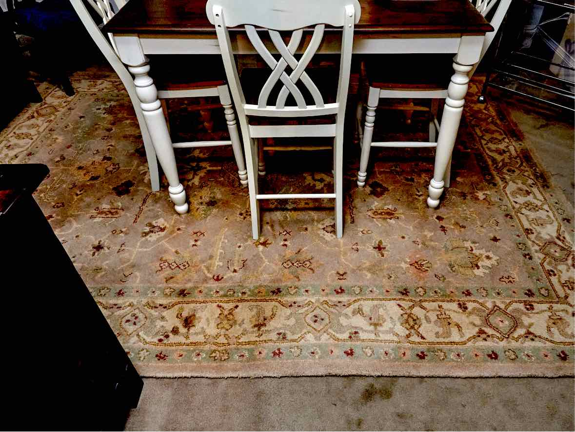 Nourison  Wool Area Rug