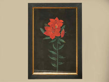 Framed Giclee 'Red Flowers at Midnight IV'